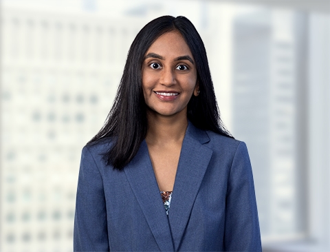 Krishna Akarapu bio thumbnail