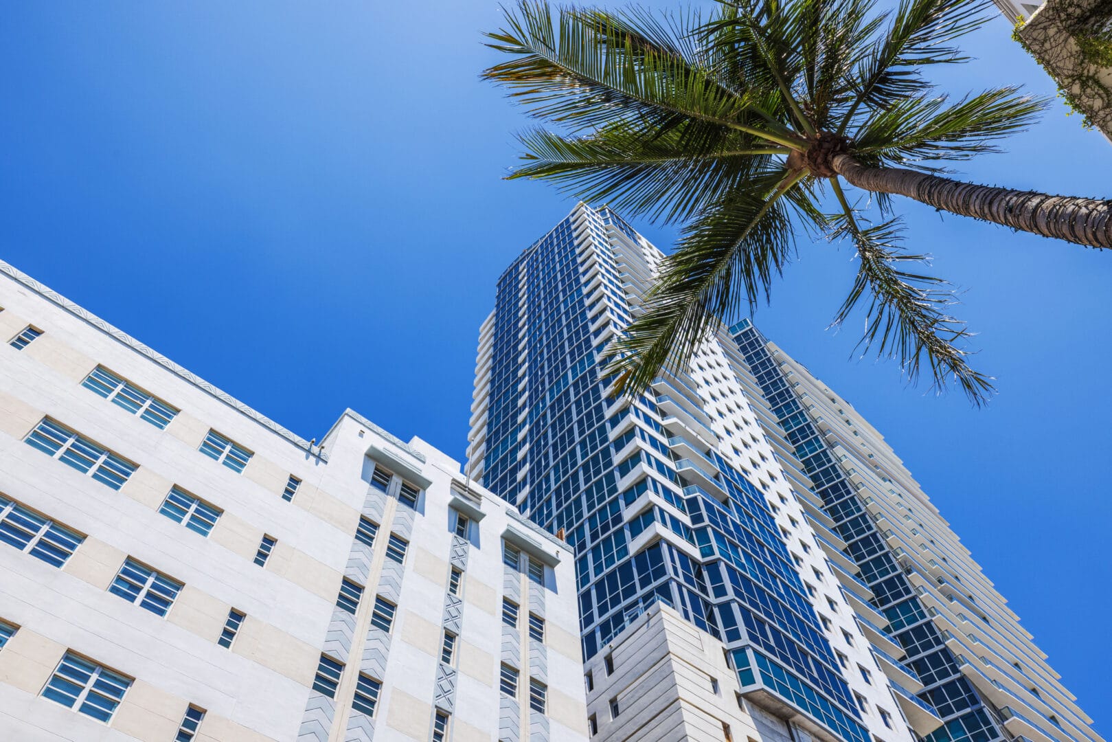 Modern high rise buildings and palm tree against blue sky in Miami Beach.